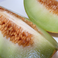 �͂Ȃ킳�񂿂̃�����