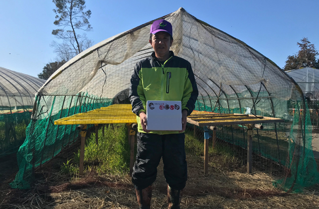 �������̃}�c���g